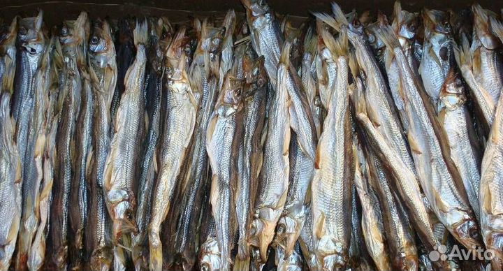 Вяленая сушеная рыба