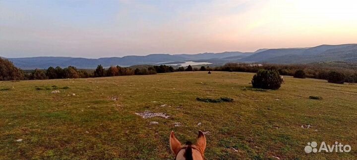 Конные прогулки