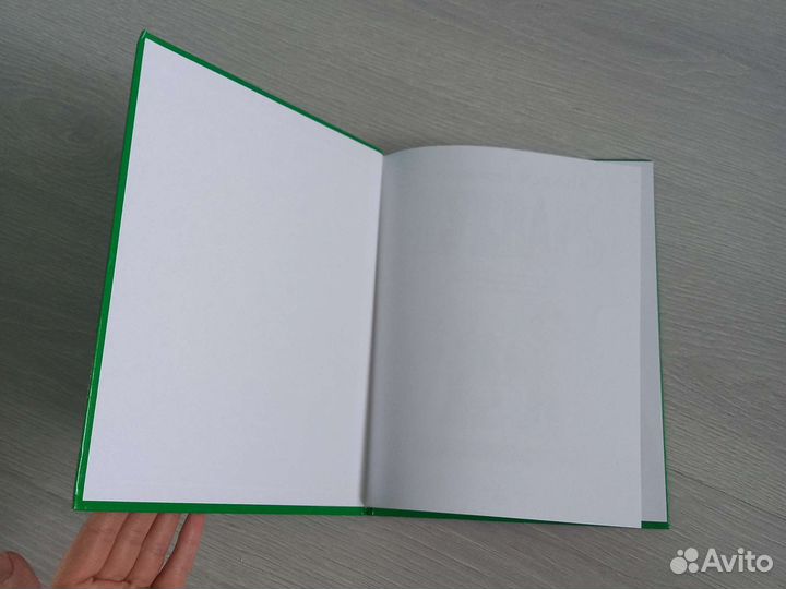 Букварь надежда жукова новый