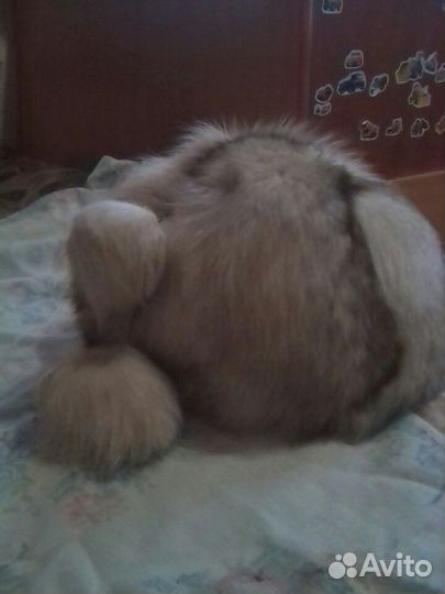 Продам шапки