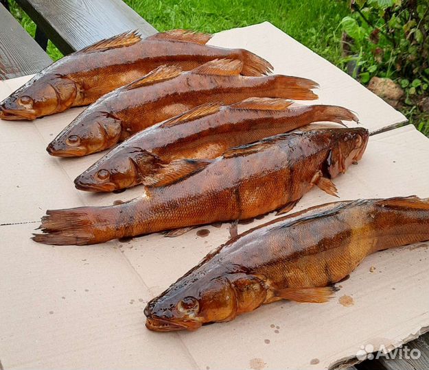 Рыба горячего копчения