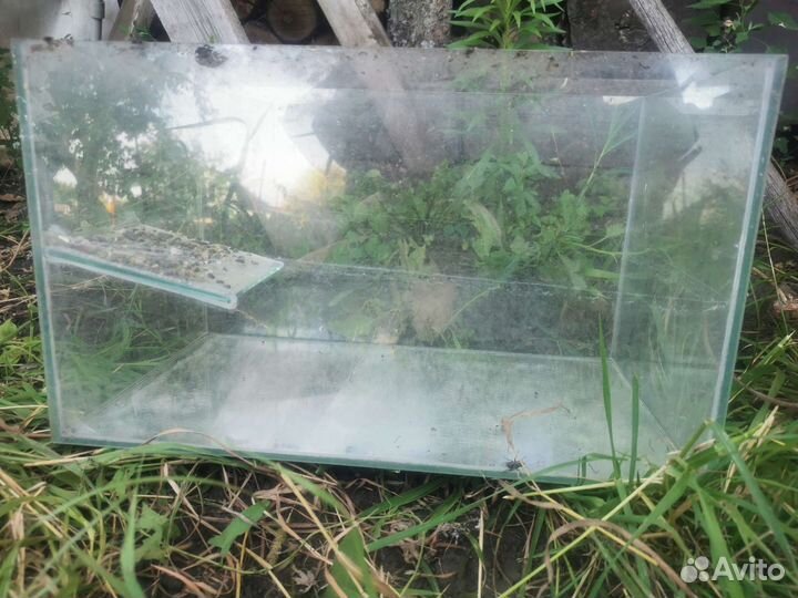 Аквариум для черепах бу