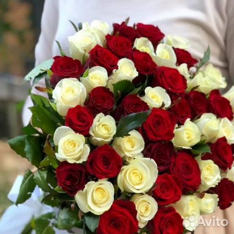 Розы. Цветы. Доставка