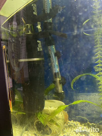 Аквариум 60л