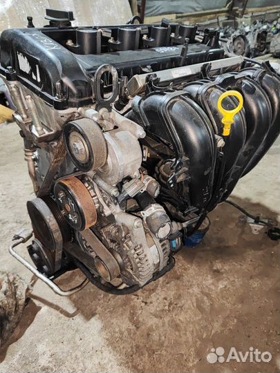 Двигатель Ford Focus qqdb