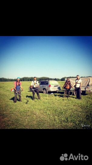 Покос травы триммером