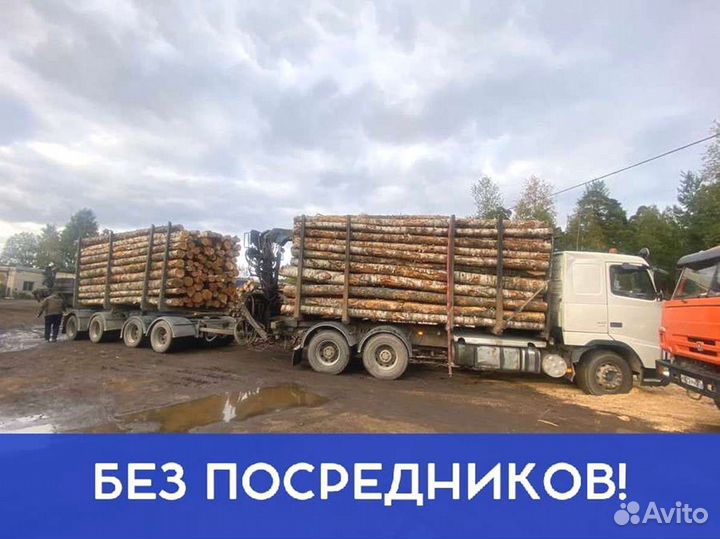 Дрова