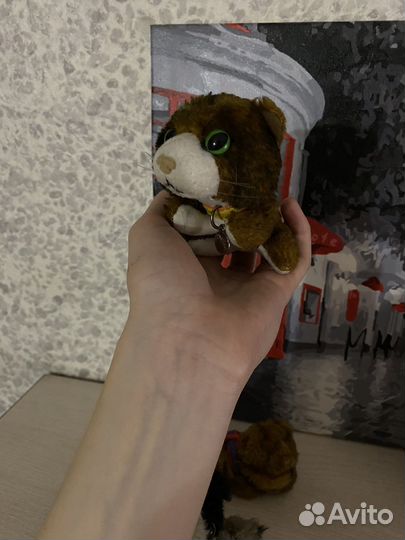 Коллекционные коты с журналами