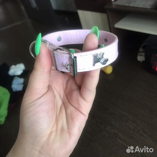 Ошейник для маленькой собаки