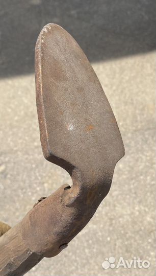 Лапа сапожная