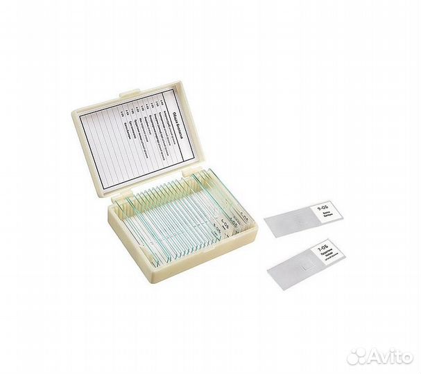 Микропрепараты для школы 