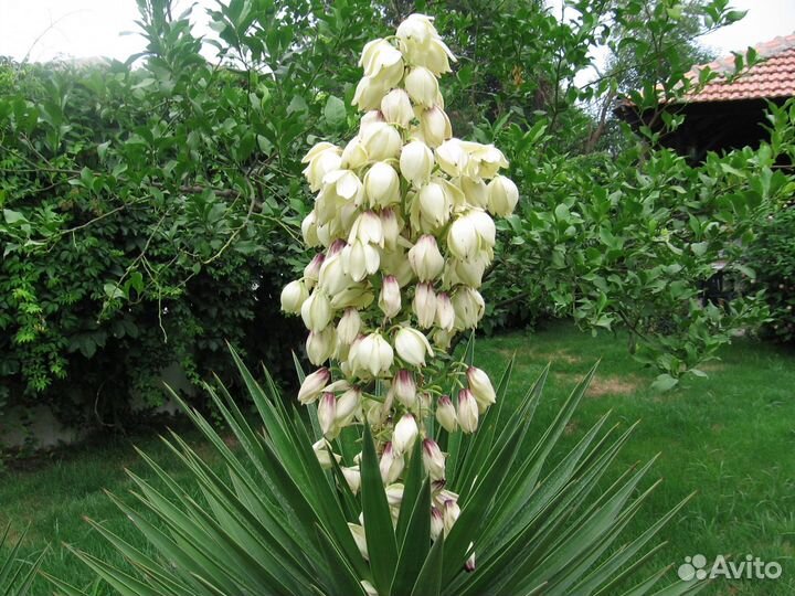 Продам бизнес, прибыль 405'000 в месяц