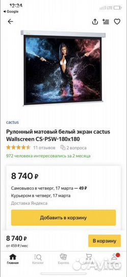 Экран для проектора рулонный