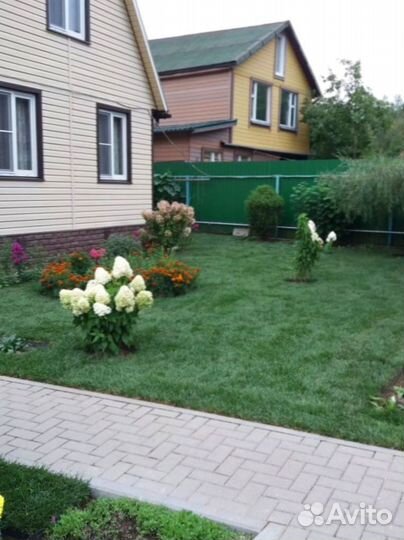 Рулонный газон для дачи и сада