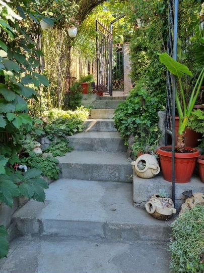 Дом 40 м² на участке 2,5 сот.