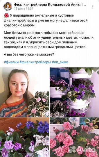 Детки сортовых фиалок-трейлеров