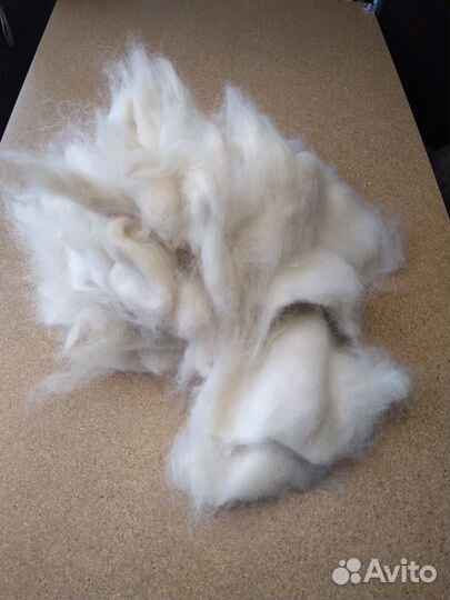 Шерсть собачья