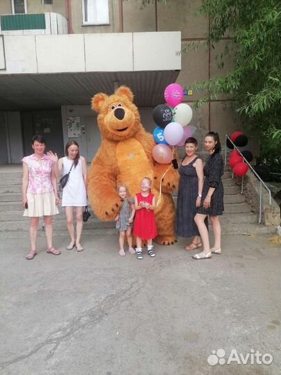 Аниматор Белый/Бурый/Панда Мишка. Поздравление