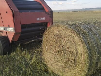 Сено в рулонах, Могзон