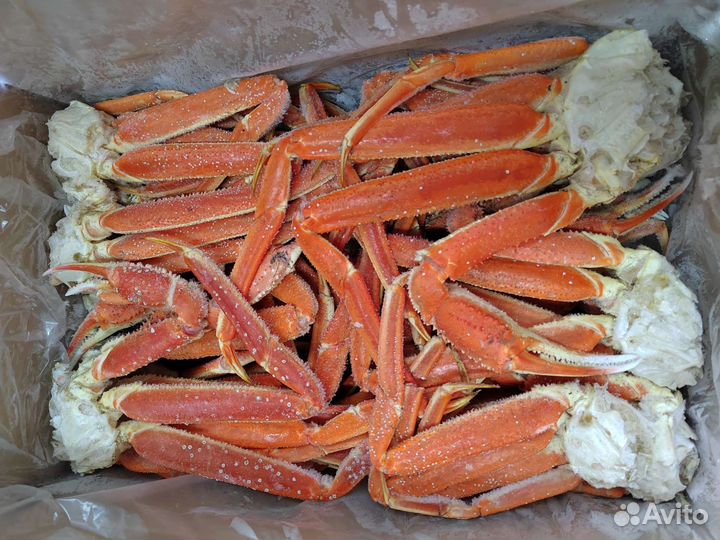 Клешни краба стригуна