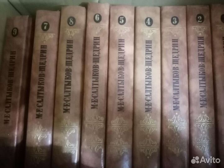 Горький. Салтыков- Щедрин