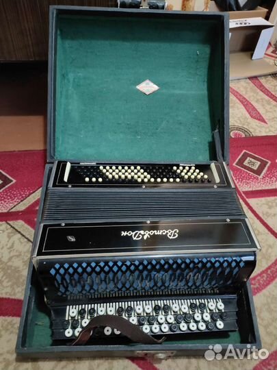 Баян Ростов Дон