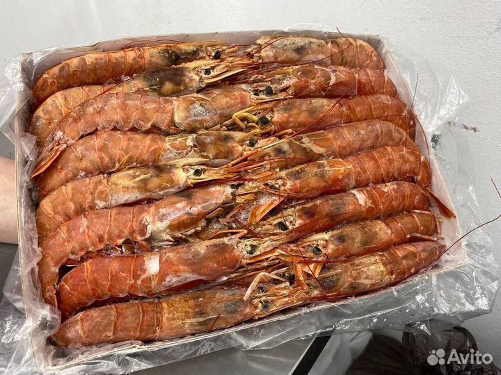Лангустины L1 крупный. Охлажденные