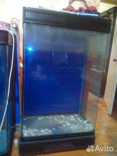 Аквариум эксклюзивный, панорамный