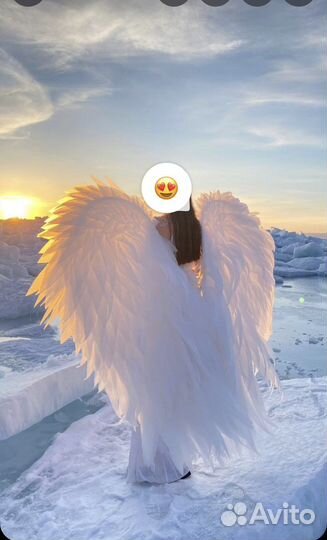 Крылья Ангела в прокат