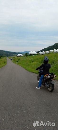 Bmw f650gs гусь