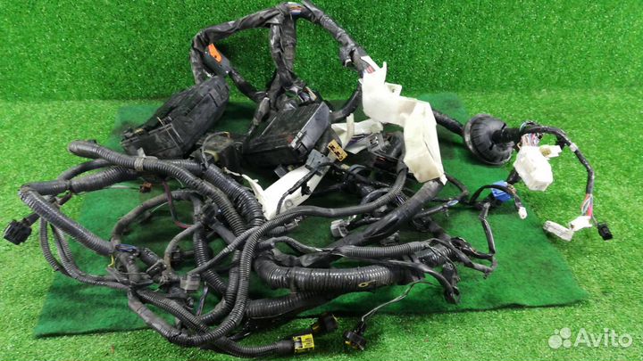 Жгут проводов (Проводка) Infiniti G 4