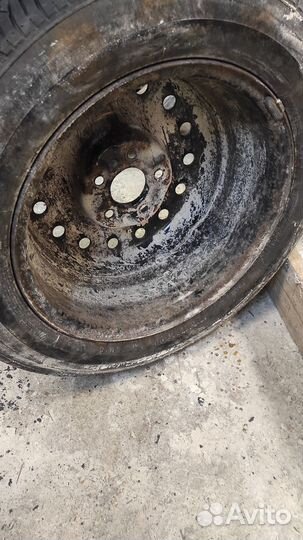 Toyo Tranpath A11 215/55 R16