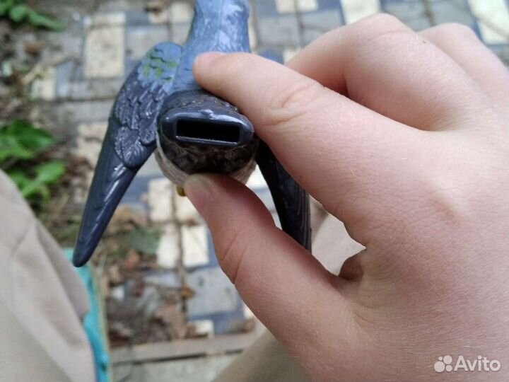 Птица свистулька