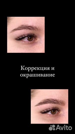 Мастер-бровист