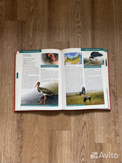 Красная книга России