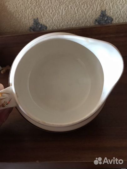 Соусник Зик