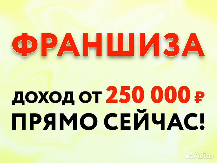 Франшиза с доходностью от 200 000 руб