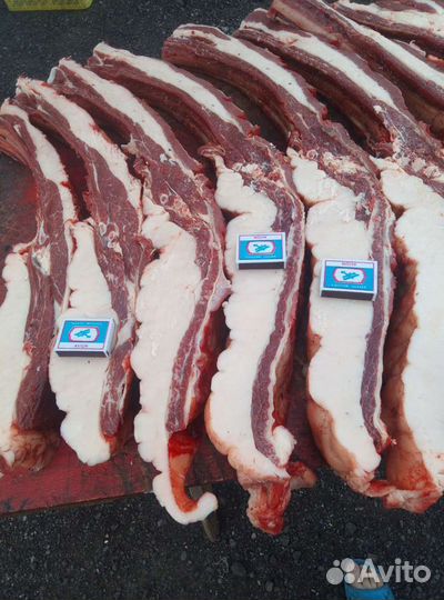 Конина забой 9 сентября