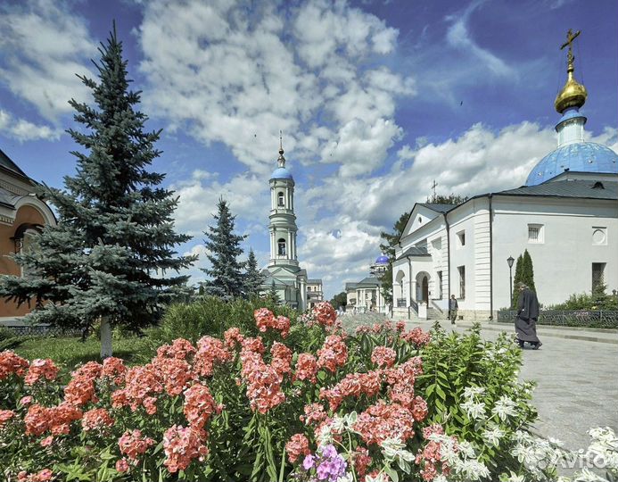 Калуга Топ-Экскурсия Оптина пустынь, Шамордино, Кл