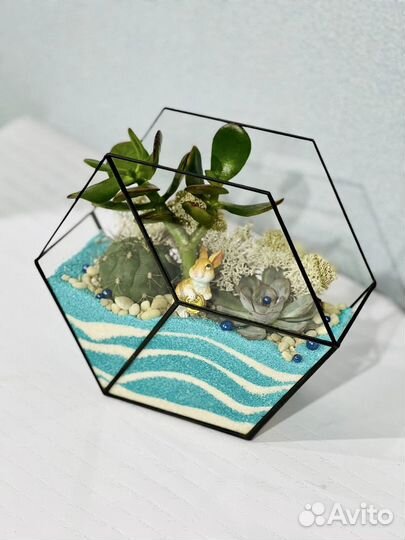 Флорариум интерьерный с суккулентами