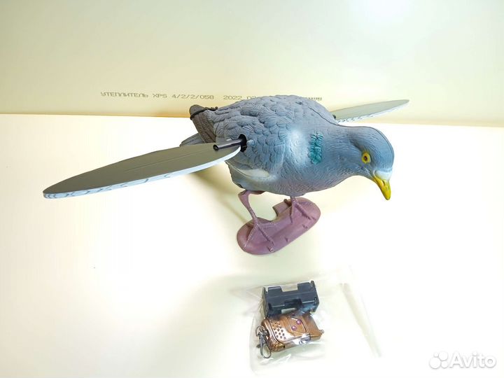 Махокрыл чучела голубей, уток