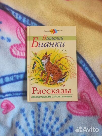 Книги для внеклассного чтения
