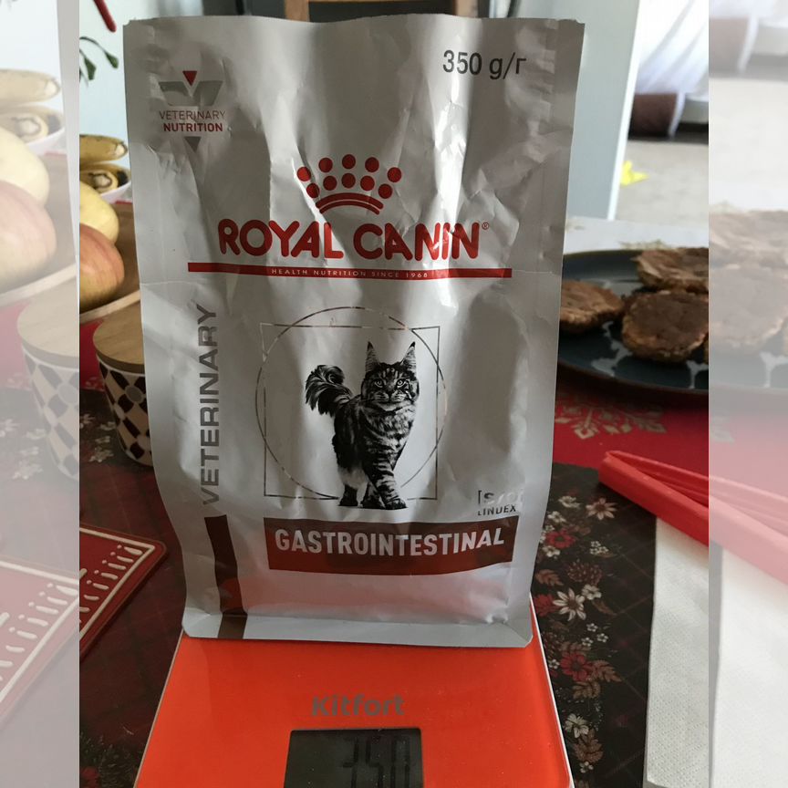 Корм для кошек сухой Royal Canin gastrointensial