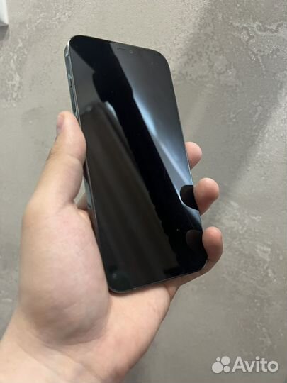 iPhone 12 Pro Max, 256 ГБ