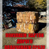Прием картона и пленки, Махачкала