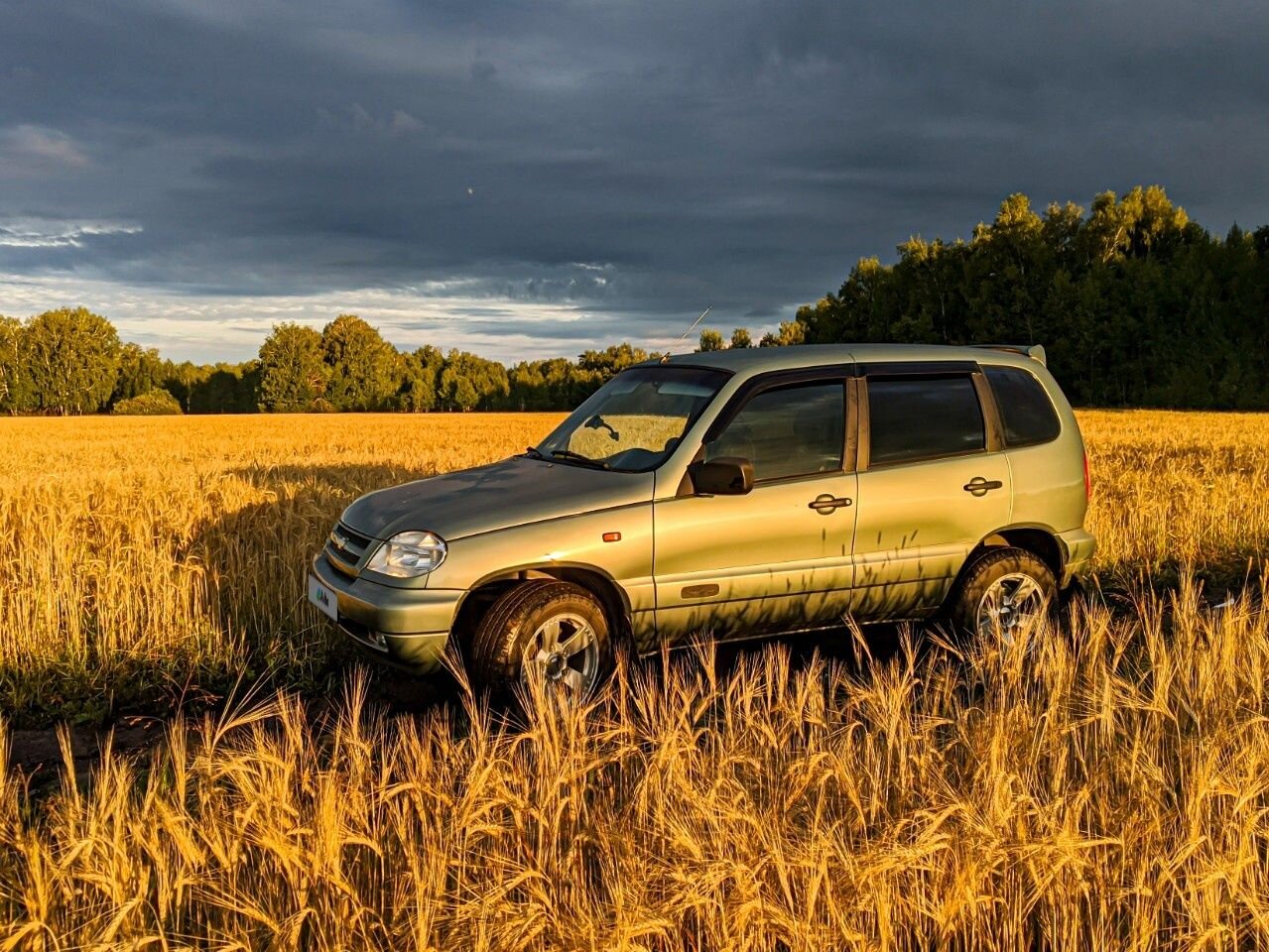 Chevrolet Niva: фото владельца