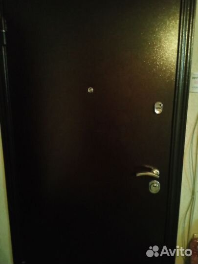 Дверь входная металлическая с зеркалом