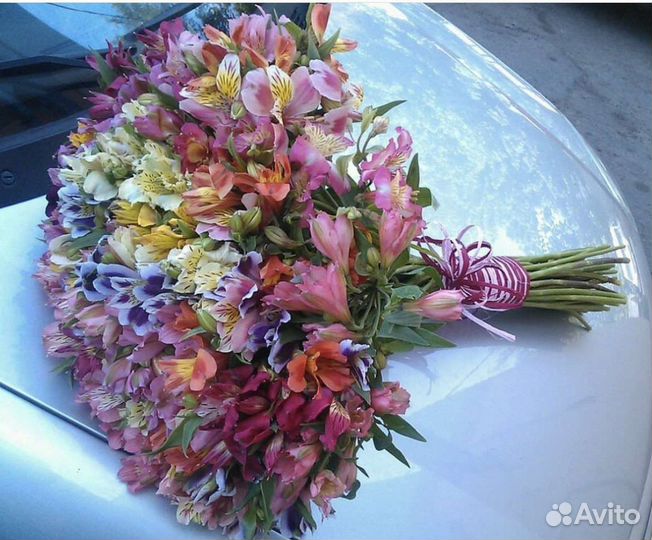 Огромный букет альстремерии 51 шт