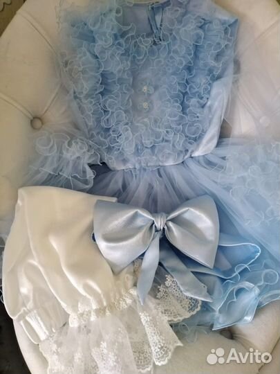 Аренда карнавальных костюмов