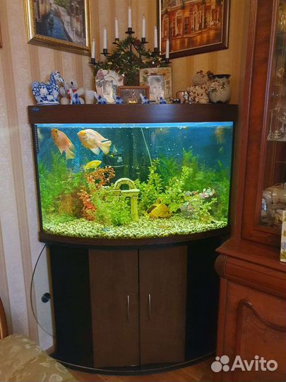 Аквариум Биодизайн Диарама с тумбой и фильтром